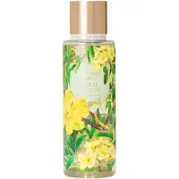 Victoria's Secret Wild Willow Kropps-mist Kropps-mist 250 ml