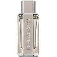 Salvatore Ferragamo Ferragamo Bright Leather Herr Edt Vapo 100 ml