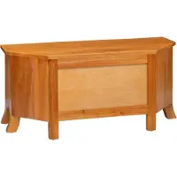 vidaXL TV-skåp Naturfärg 100 x 40,5 x 46 cm Massivt mahognyträ