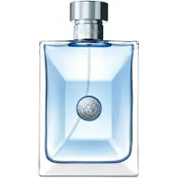 Versace Pour Homme 100ml Eau De Toilette
