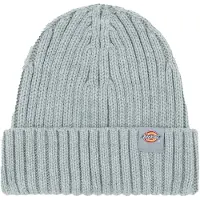 Dickies Lockwood Mössa