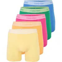 Calvin Klein 5 Pack Boxer Briefs Icon Cotton Stretch Pride
