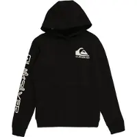Quiksilver Omni Logo Huvtröja