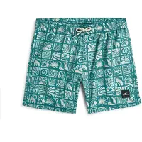 O'Neill Print Simshorts
