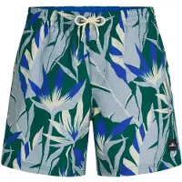 O'Neill Print 16'' Boardshorts blue tropicana big Storlek XS