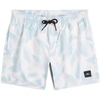 O'Neill Print Simshorts