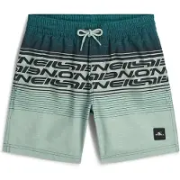 O'Neill Logo Stripe Simshorts
