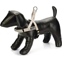 Beeztees Premium Parinca Hundsele