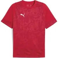 Puma Tränings T-Shirt teamCUP - Röd/Silver/Röd, storlek 3XL