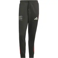 Adidas Sportbyxa 'Audi Formula One Team DNA' mörkgrå / röd / vit