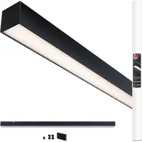 Paulmann 98168 Linion LED-takbelysning LED 17 W Svart