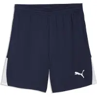 Puma Sportbyxa 'TeamLIGA26' marinblå / vit