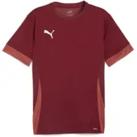 Puma Tränings T-Shirt teamGOAL - Team Red/White Barn, storlek 164 cm