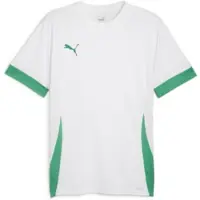 Puma Teamgoal Matchday Jersey Jr White-sport Green-sport Green, storlek 116 cm