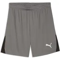 Puma Sportbyxa 'TeamLIGA26' grå / svart / vit