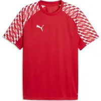 Puma Funktionstopp 'TeamLiga26' röd / eldröd / vit