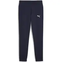 Puma Sportbyxa 'TeamGOAL' marinblå / vit