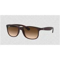 Ray-Ban Andy RB4202 Solglasögon -