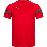 Puma Tränings T-Shirt teamFINAL - Röd/Grå, storlek Large