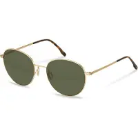 Rodenstock R1447 Pantos Solglasögon