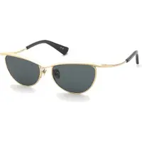 Nina Ricci Snr406 Cat Eye Solglasögon För Kvinnor
