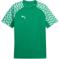 Puma Tränings T-Shirt teamLIGA26 - Sport Grön/White Barn, storlek 128 cm