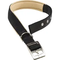 Ferplast Nylon Daytona C 30 Mm 55 Cm Hundhalsband