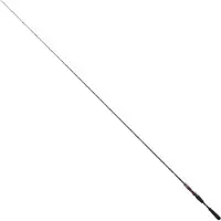 Daiwa Steez Ags Baitcastingspö