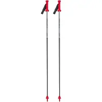 Van Deer - Skidstavar - Race GS Carbon Grey/Black/Red för Unisex - Storlek 130 cm - Grå