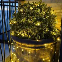 Sirius Home Sirius Easy-Line Net 100 LED, 1,5 m