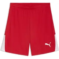 Puma Sportbyxa 'TeamLIGA26' röd / vit