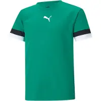 Puma Funktionstopp 'TeamRise' smaragd / svart / vit