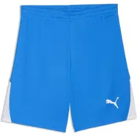 Puma Sportbyxa 'TeamLiga26' royalblå / vit
