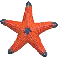 Schleich Sjöstjärna 14902
