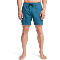 Billabong All Day Simshorts