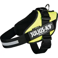 JULIUS K-9 Idc Hundsele