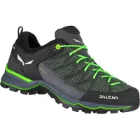 Salewa Mountain Trainer Lite Gore-tex Vandringsskor