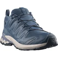 Salomon Xa Pro 3d V9 Gore-tex Trailskor