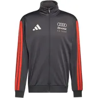 Adidas AUDI REVOLUT F1 TEAM DNA TRÄNINGSJACKA, storlek X-Small