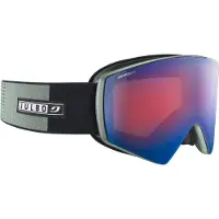 Julbo Sharp Polariserade Skidglasögon