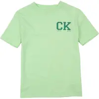Calvin Klein Logo T-Shirt