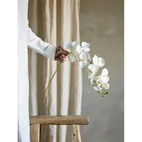 Bloomingville Orkidéstjälk, vit, Konstgjorda blommor