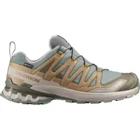 Salomon Men's XA 3D Pro V9 GORE-TEX Sedona Sage/Plantation/Paloma