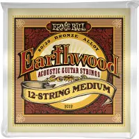 Ernie Ball Earthwood 2012 80/20 Bronze 12-String Medium Set 11-28