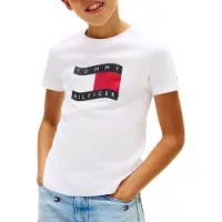 Tommy Hilfiger Wavy Flag Jersey Crew Neck T-Shirt