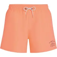 O'Neill Beach 15´´ Simshorts