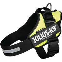 Julius-K9 K9 IDC-sele, storlek: 1, neongrön 63-85 cm