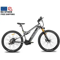 Electric Ride Hedatx TX19 48V 1000W 19.2Ah Elcykel 29 x2.4 Vuxen E-Mountain E-cykel Herr Assisterad Elcykel Hydraulisk Broms grå