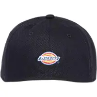 Dickies Hardwick Two Tone Keps