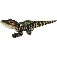Toys WILD R CK Jumbo